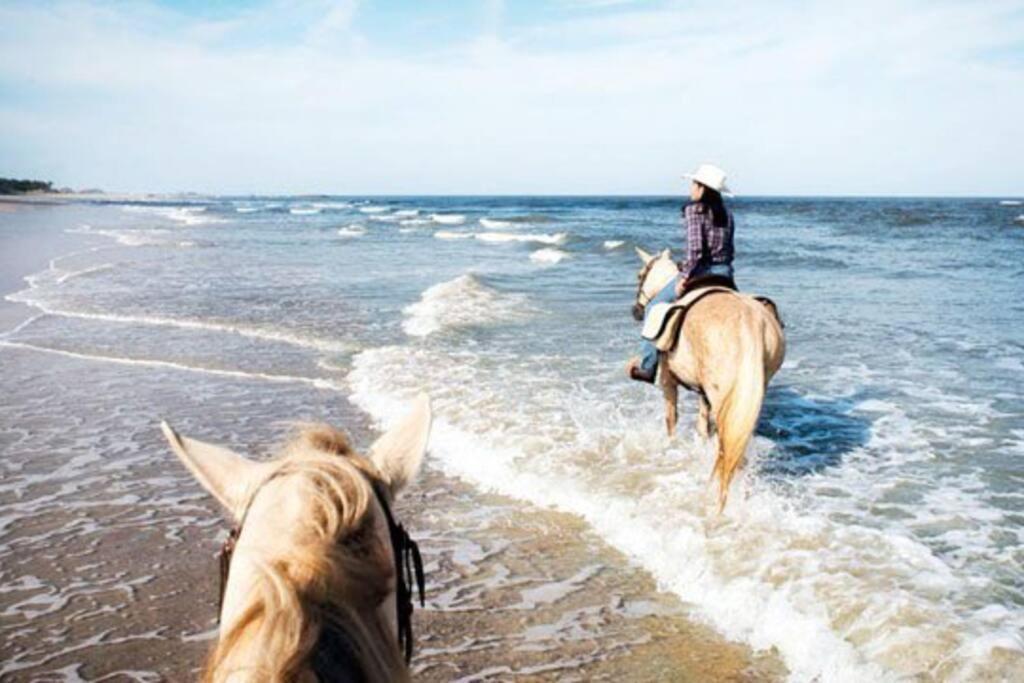 Amelia Island Oceanfront Condo Wyspa Amelia Zewnętrze zdjęcie