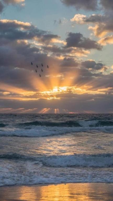 Amelia Island Oceanfront Condo Wyspa Amelia Zewnętrze zdjęcie
